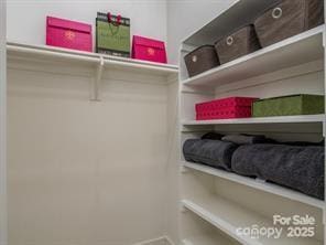 view of spacious closet