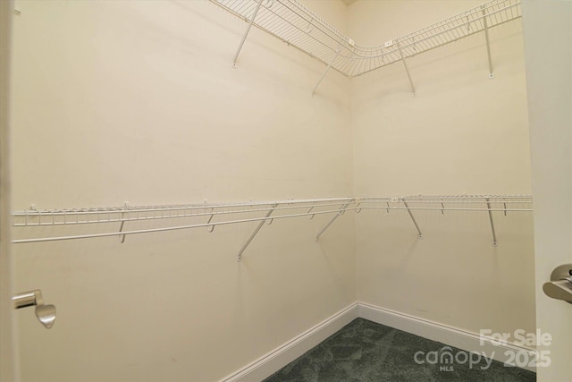 walk in closet with dark colored carpet