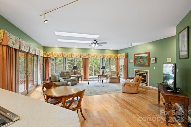 living room with a fireplace, a skylight, light hardwood / wood-style flooring, and rail lighting