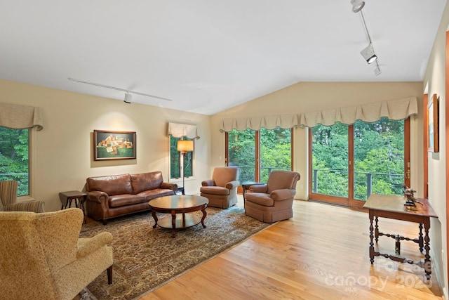 living room with vaulted ceiling, track lighting, and light hardwood / wood-style floors