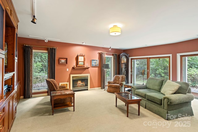 carpeted living room featuring rail lighting