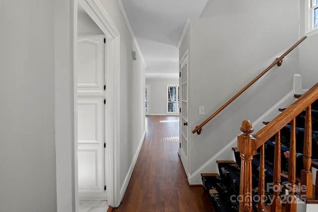 hall with ornamental molding and dark hardwood / wood-style floors