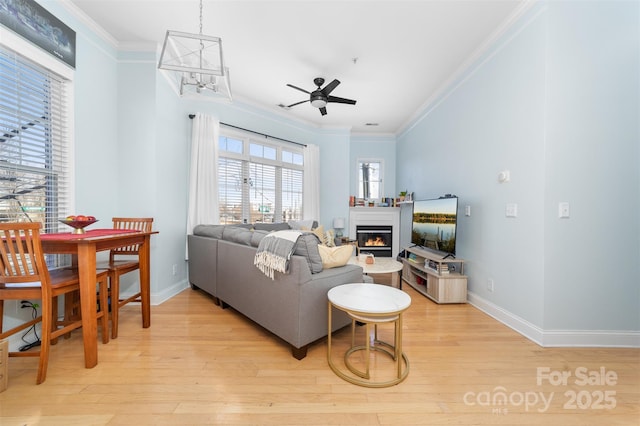 living room with ornamental molding, ceiling fan, and light wood-type flooring