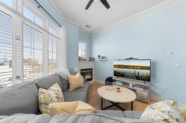 living room featuring crown molding, ceiling fan, and light hardwood / wood-style floors