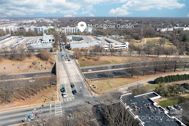 bird's eye view