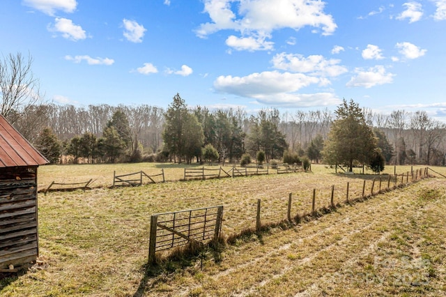 view of yard featuring a rural view