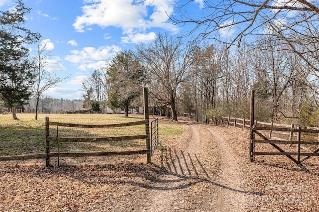 view of road with a rural view