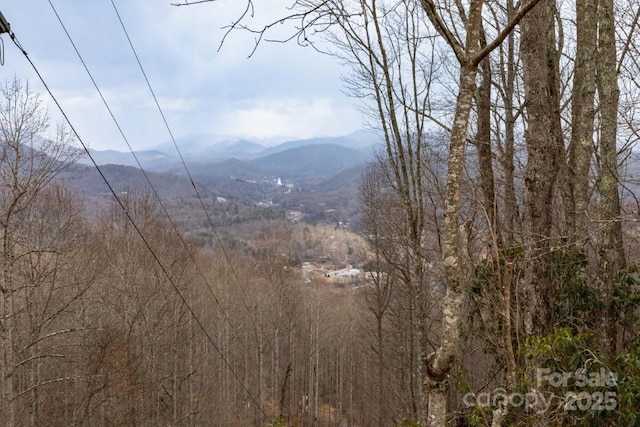175 Owl Lookout Rd, Sylva, NC 28779 - mountain view