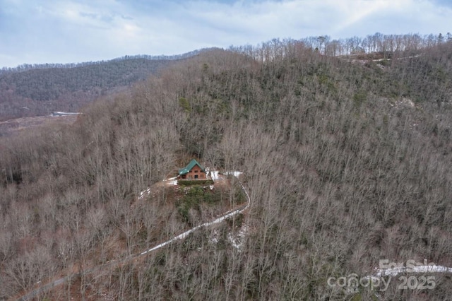 175 Owl Lookout Rd, Sylva, NC 28779 - bird's eye view featuring a mountain view