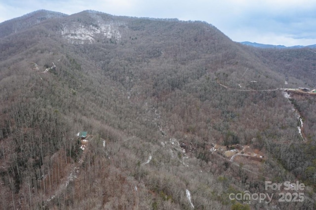 175 Owl Lookout Rd, Sylva, NC 28779 - mountain view