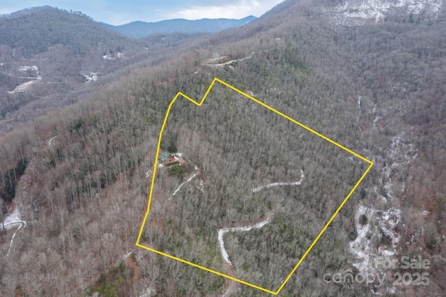 175 Owl Lookout Rd, Sylva, NC 28779 - bird's eye view featuring a mountain view
