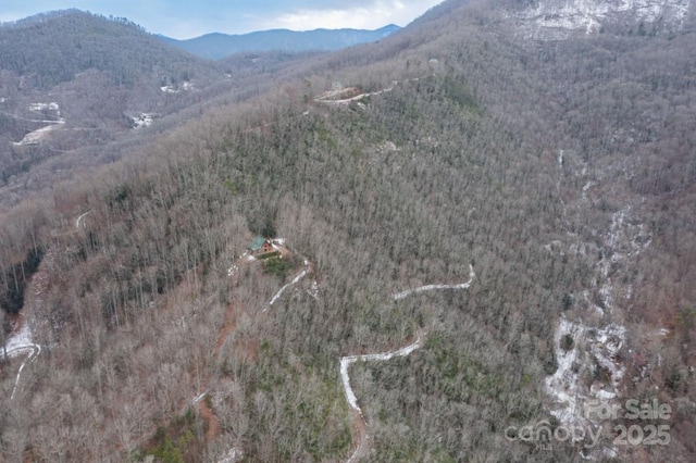 175 Owl Lookout Rd, Sylva, NC 28779 - view of mountain feature