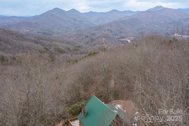 175 Owl Lookout Rd, Sylva, NC 28779 - mountain view