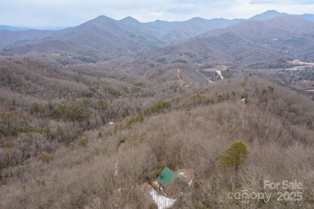 175 Owl Lookout Rd, Sylva, NC 28779 - mountain view
