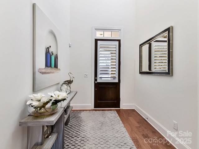 entryway featuring wood-type flooring