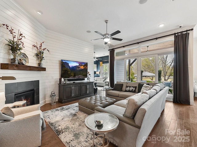 living room with ceiling fan, plenty of natural light, dark wood-type flooring, and a fireplace