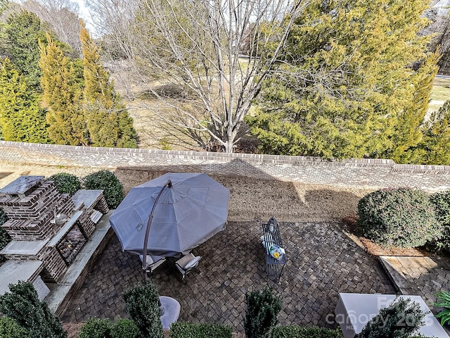 view of yard featuring a patio