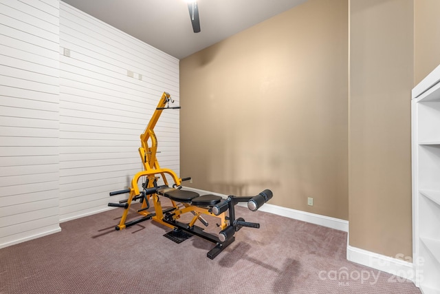 workout room featuring carpet flooring