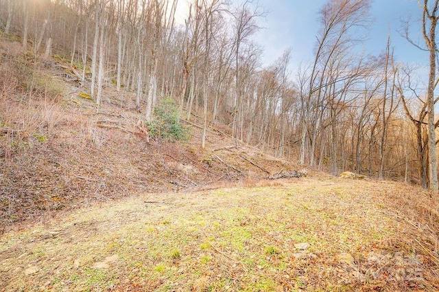 Listing photo 3 for 93 Patchens Estate Rd Unit 17, Waynesville NC 28786