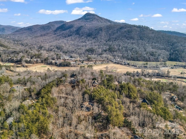 view of mountain feature