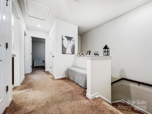 hallway featuring carpet floors