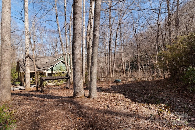 view of local wilderness