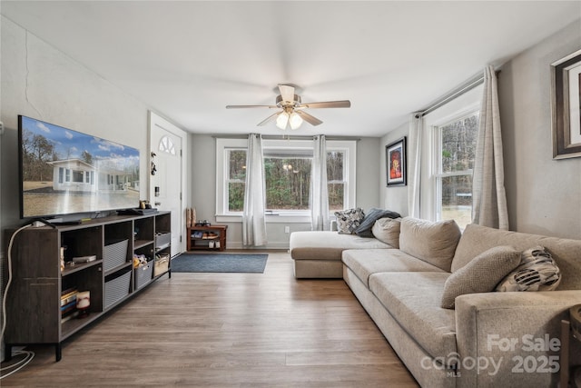 living room with ceiling fan, wood-type flooring, and a healthy amount of sunlight