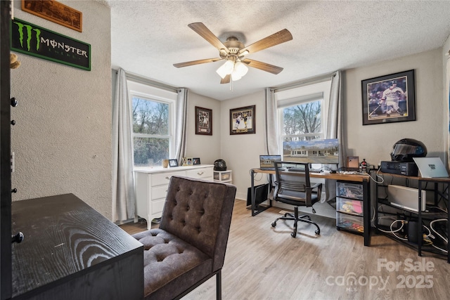 office with plenty of natural light, a textured ceiling, and light wood-type flooring