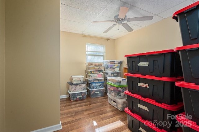 storage featuring ceiling fan