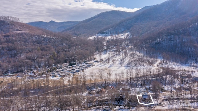 property view of mountains