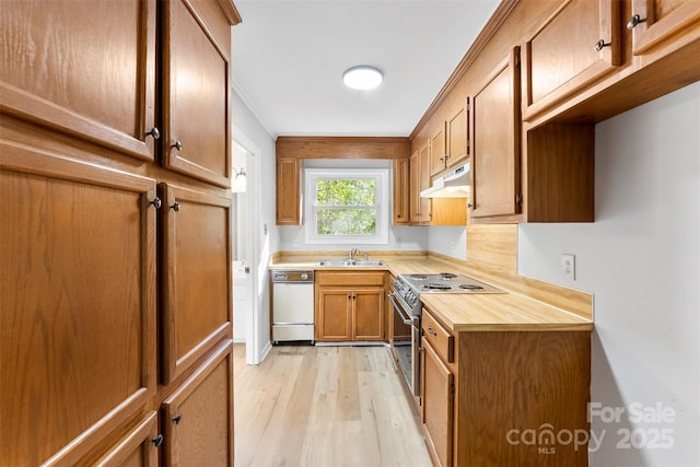 kitchen featuring stainless steel electric stove, light hardwood / wood-style floors, sink, and white dishwasher