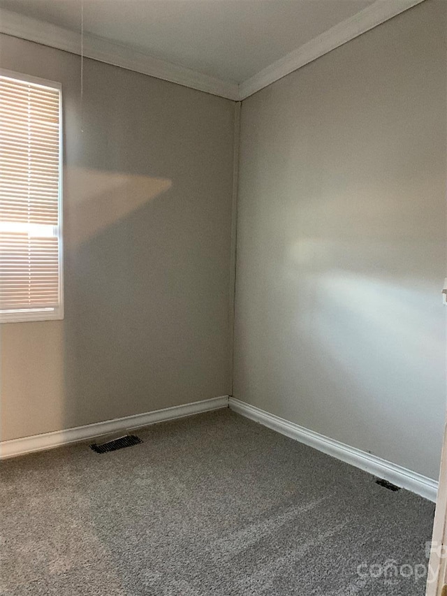 carpeted spare room with crown molding