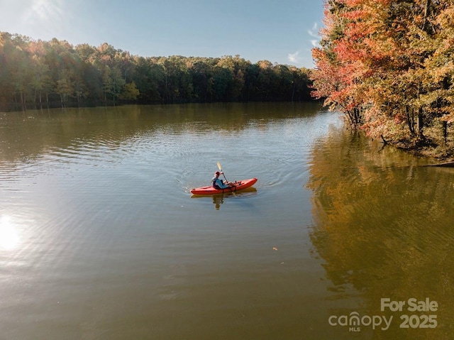 property view of water with a wooded view