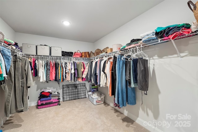 spacious closet with carpet flooring