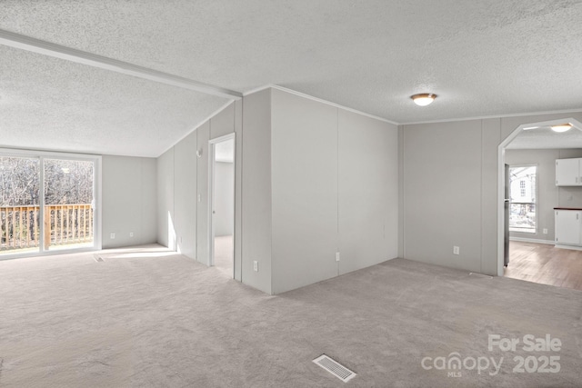 carpeted empty room featuring crown molding, lofted ceiling, and a textured ceiling