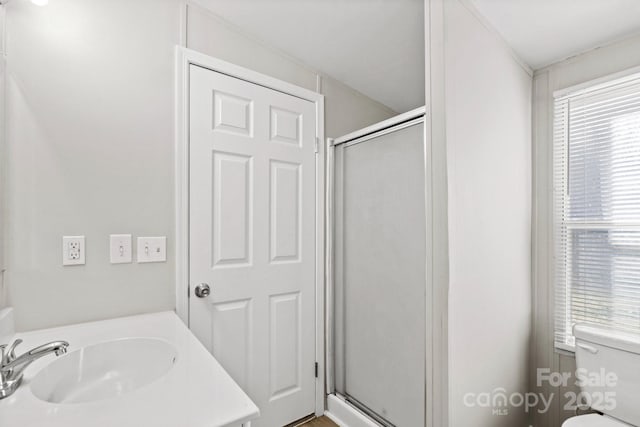 bathroom with vanity, plenty of natural light, toilet, and walk in shower