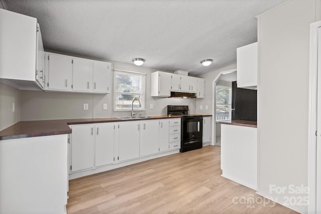 kitchen featuring sink, light hardwood / wood-style flooring, white cabinetry, black appliances, and a healthy amount of sunlight