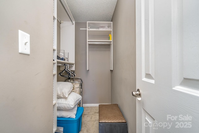 walk in closet with carpet flooring