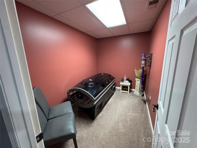 interior space with carpet floors and a drop ceiling