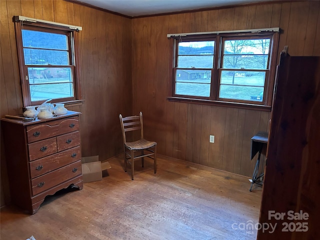 sitting room featuring wooden walls and light hardwood / wood-style flooring