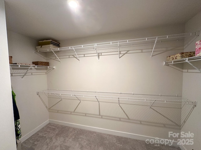 spacious closet with carpet flooring