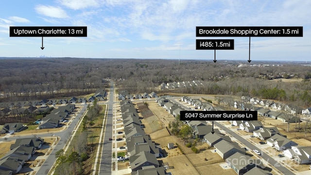 bird's eye view