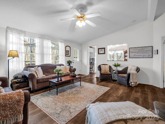 living room featuring ceiling fan, dark wood-type flooring, vaulted ceiling, and a textured ceiling