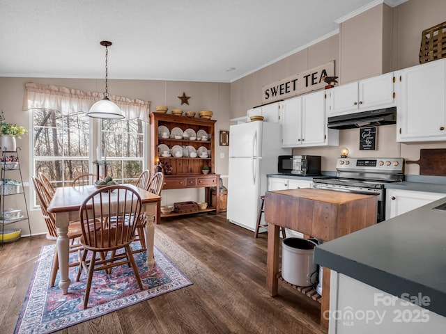 kitchen featuring white cabinetry, stainless steel electric range oven, dark hardwood / wood-style floors, and white fridge