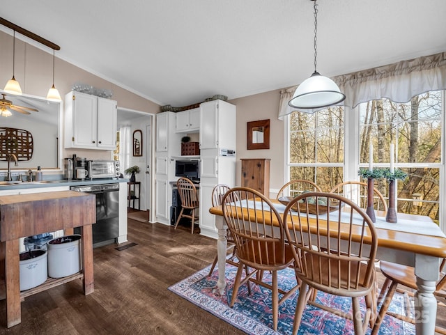 dining space featuring lofted ceiling, sink, dark wood-type flooring, and plenty of natural light