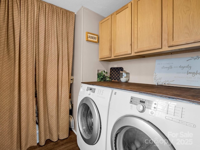 washroom with washer and clothes dryer and cabinets