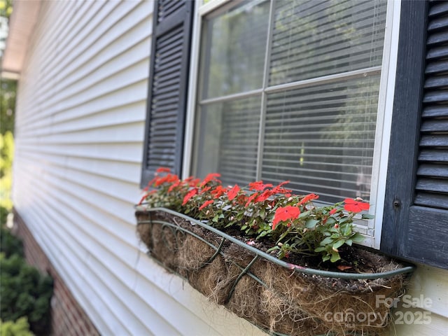 243 Buffalo Creek Rd, Lake Lure, NC 28746 - exterior view
