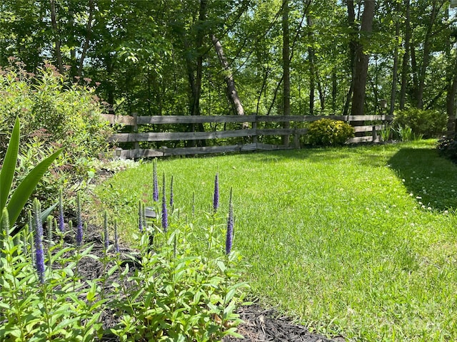 243 Buffalo Creek Rd, Lake Lure, NC 28746 - view of yard