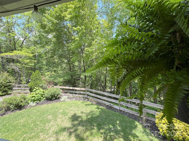 243 Buffalo Creek Rd, Lake Lure, NC 28746 - view of yard