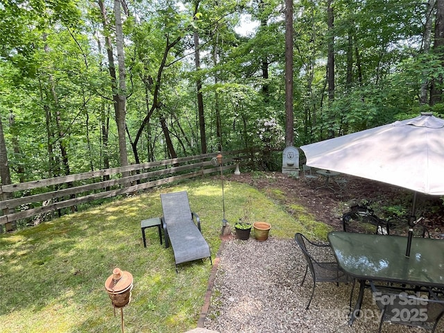 243 Buffalo Creek Rd, Lake Lure, NC 28746 - view of yard